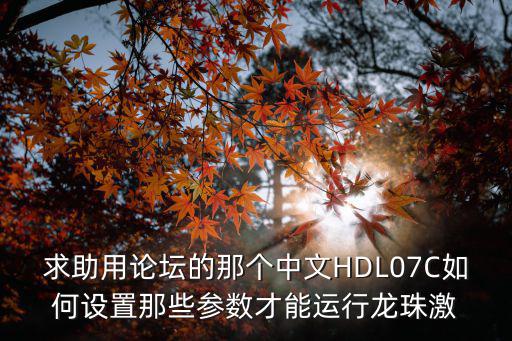 求助用论坛的那个中文HDL07C如何设置那些参数才能运行龙珠激