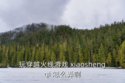 玩穿越火线游戏 xiaoshengqi 怎么弄啊