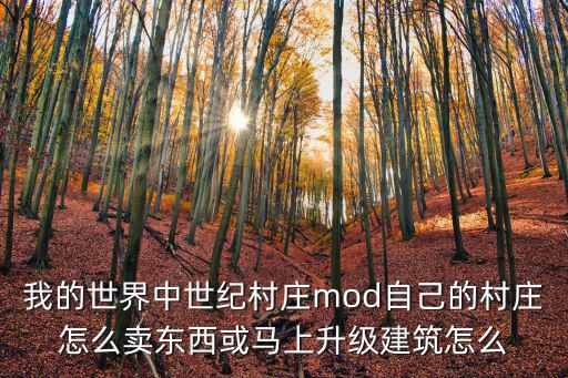 我的世界中世纪村庄mod自己的村庄怎么卖东西或马上升级建筑怎么