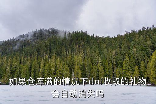 如果仓库满的情况下dnf收取的礼物会自动消失吗