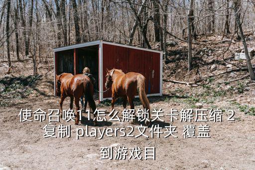 使命召唤11怎么解锁关卡解压缩 2复制 players2文件夹 覆盖到游戏目