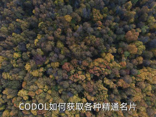 CODOL如何获取各种精通名片