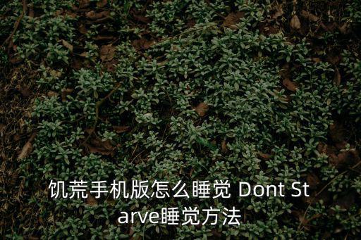 饥荒手机版怎么睡觉 Dont Starve睡觉方法