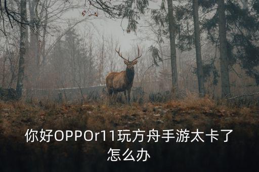 你好OPPOr11玩方舟手游太卡了怎么办