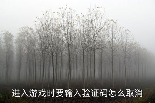 进入游戏时要输入验证码怎么取消