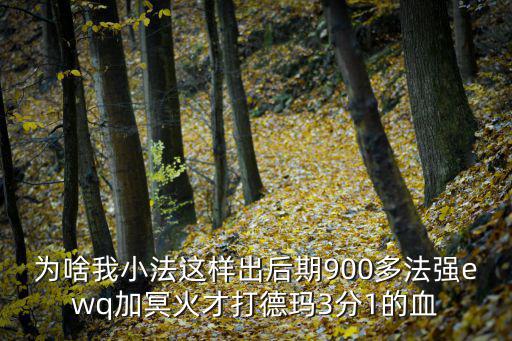 为啥我小法这样出后期900多法强ewq加冥火才打德玛3分1的血