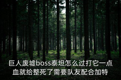 巨人废墟boss泰坦怎么过打它一点血就给整死了需要队友配合加特