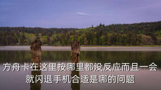 方舟手游一直卡退怎么办，我玩方舟生存进化手游版为什么总是闪退先是在加载画面让后一黑