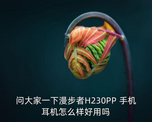 问大家一下漫步者H230PP 手机耳机怎么样好用吗