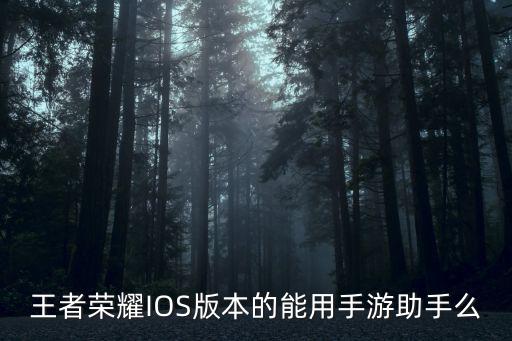 王者荣耀IOS版本的能用手游助手么