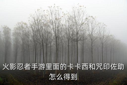 火影忍者手游里面的卡卡西和咒印佐助怎么得到