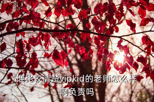 谁比较清楚vipkid的老师怎么样啊负责吗