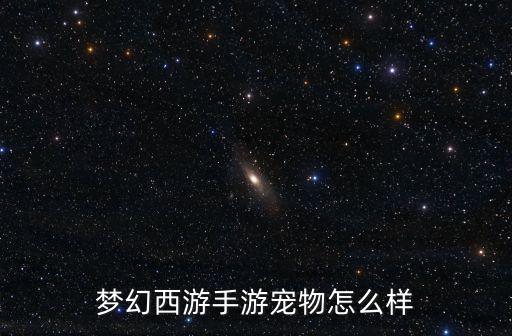 梦幻西游手游宠物怎么样