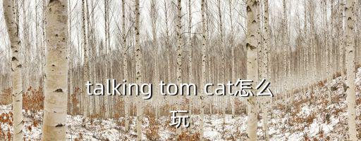 talking tom cat怎么玩