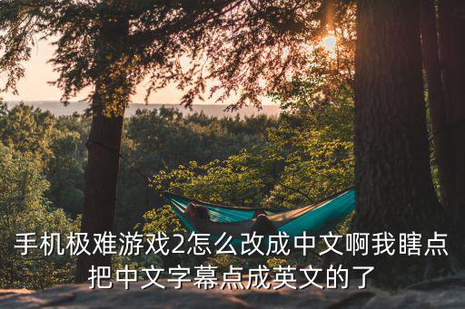 手机极难游戏2怎么改成中文啊我瞎点把中文字幕点成英文的了