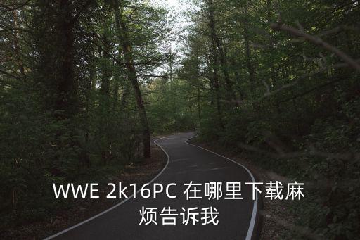 WWE 2k16PC 在哪里下载麻烦告诉我