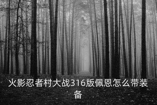 火影忍者村大战316版佩恩怎么带装备