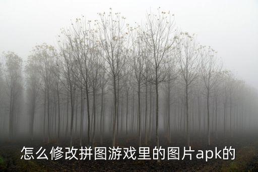 怎么修改拼图游戏里的图片apk的