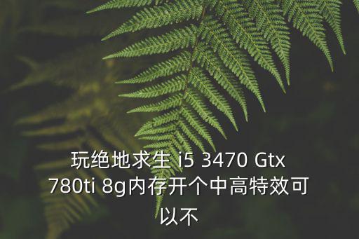 玩绝地求生 i5 3470 Gtx780ti 8g内存开个中高特效可以不