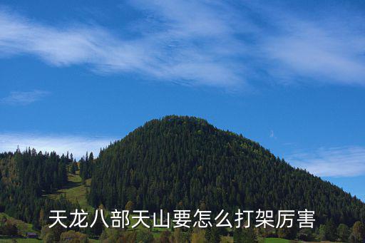 天龙八部天山要怎么打架厉害