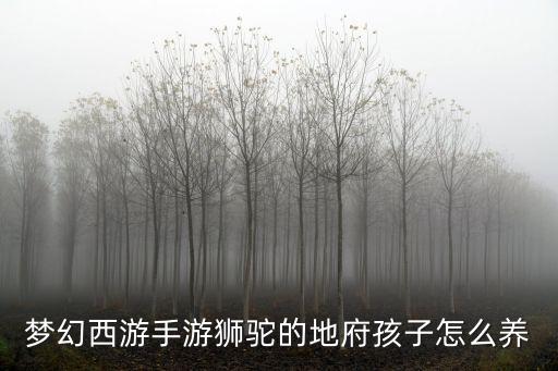 梦幻手游怎么养狮驼，梦幻西游手游狮驼岭孩子怎么养