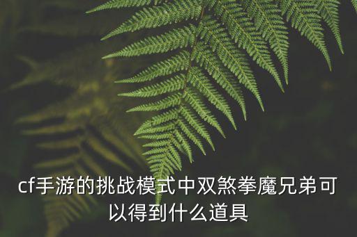 cf手游的挑战模式中双煞拳魔兄弟可以得到什么道具