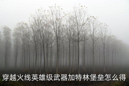 穿越火线英雄级武器加特林堡垒怎么得