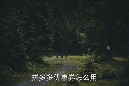 拼多多优惠券怎么用