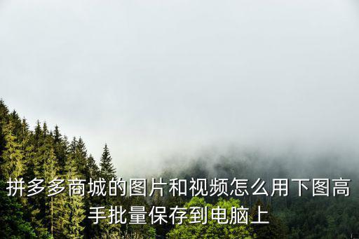 拼多多商城的图片和视频怎么用下图高手批量保存到电脑上