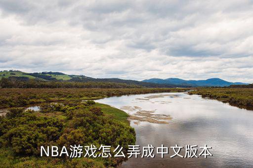 NBA游戏怎么弄成中文版本