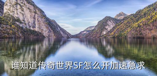 谁知道传奇世界SF怎么开加速急求