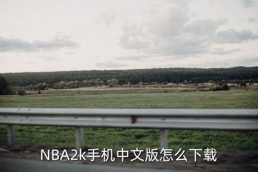 NBA2k手机中文版怎么下载