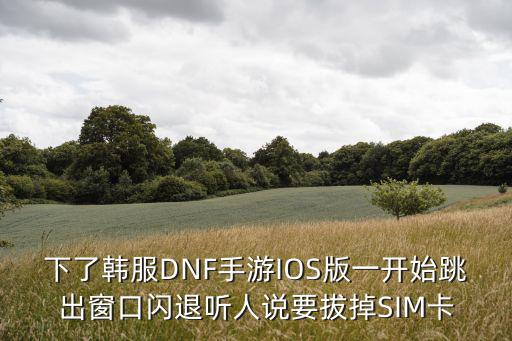 下了韩服DNF手游IOS版一开始跳出窗口闪退听人说要拔掉SIM卡