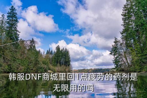 韩服DNF商城里回1点疲劳的药剂是无限用的吗