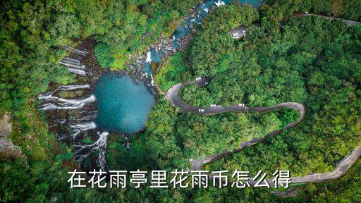 在花雨亭里花雨币怎么得