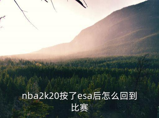 nba2k20按了esa后怎么回到比赛