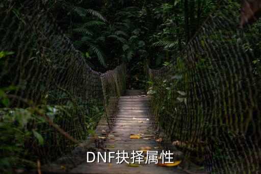 DNF抉择属性