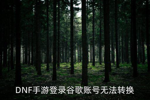 DNF手游登录谷歌账号无法转换