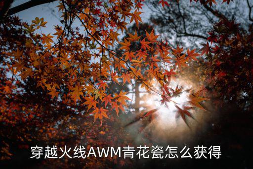 穿越火线AWM青花瓷怎么获得