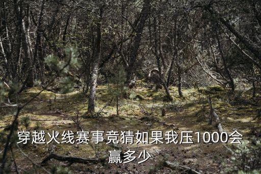 穿越火线赛事竞猜如果我压1000会赢多少