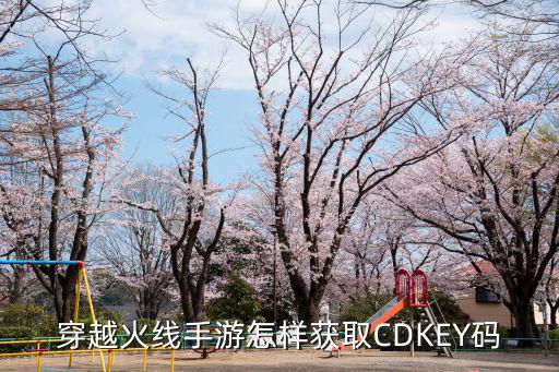 穿越火线手游怎样获取CDKEY码