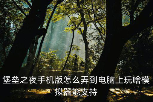 堡垒之夜手机版怎么弄到电脑上玩啥模拟器能支持