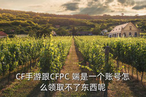 CF手游跟CFPC 端是一个账号怎么领取不了东西呢