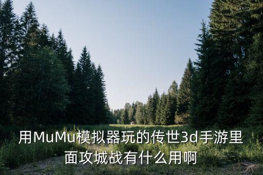 用MuMu模拟器玩的传世3d手游里面攻城战有什么用啊