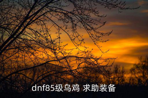 dnf85级乌鸡 求助装备