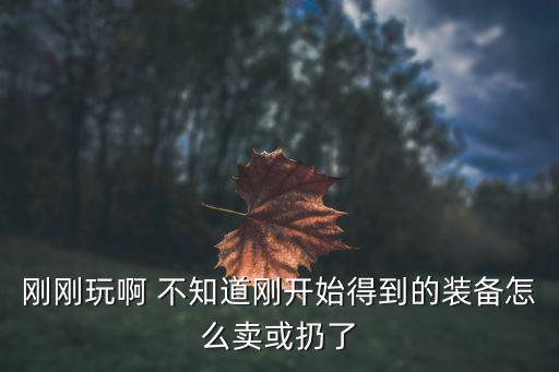 刚刚玩啊 不知道刚开始得到的装备怎么卖或扔了