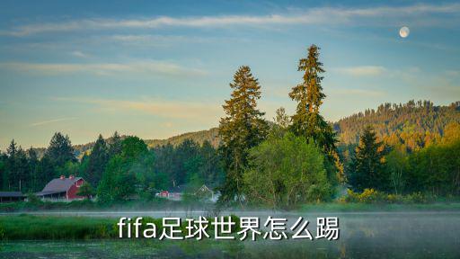 fifa足球世界怎么踢