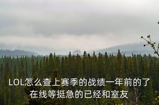 LOL怎么查上赛季的战绩一年前的了在线等挺急的已经和室友