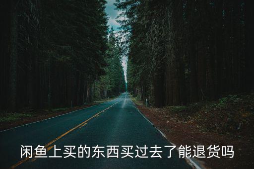 闲鱼买了游戏装备怎么退货，淘宝闲鱼上面买的东西可以退换吗谢谢