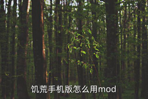 饥荒手机版怎么用mod